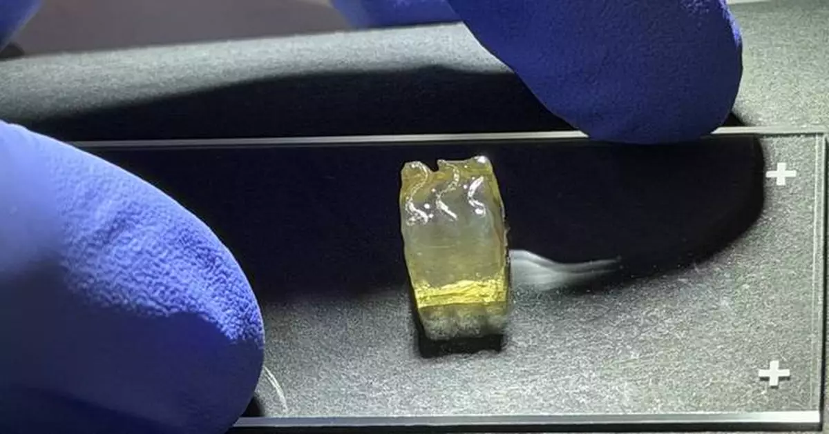 Auxilium Biotechnologies Achieves Historic Space Bioprinting Milestone, Successfully Bioprinting Kidney and Liver Tissues in Orbit for the First Time