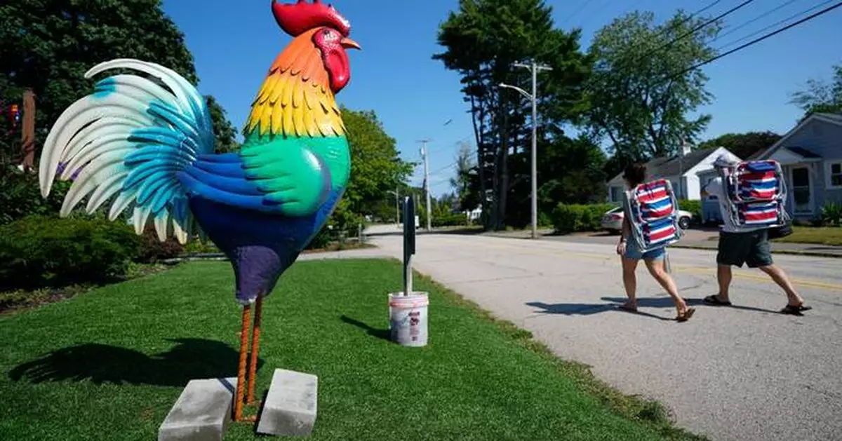 Giant metal roosters spread autism acceptance in Maine after town zoning spat