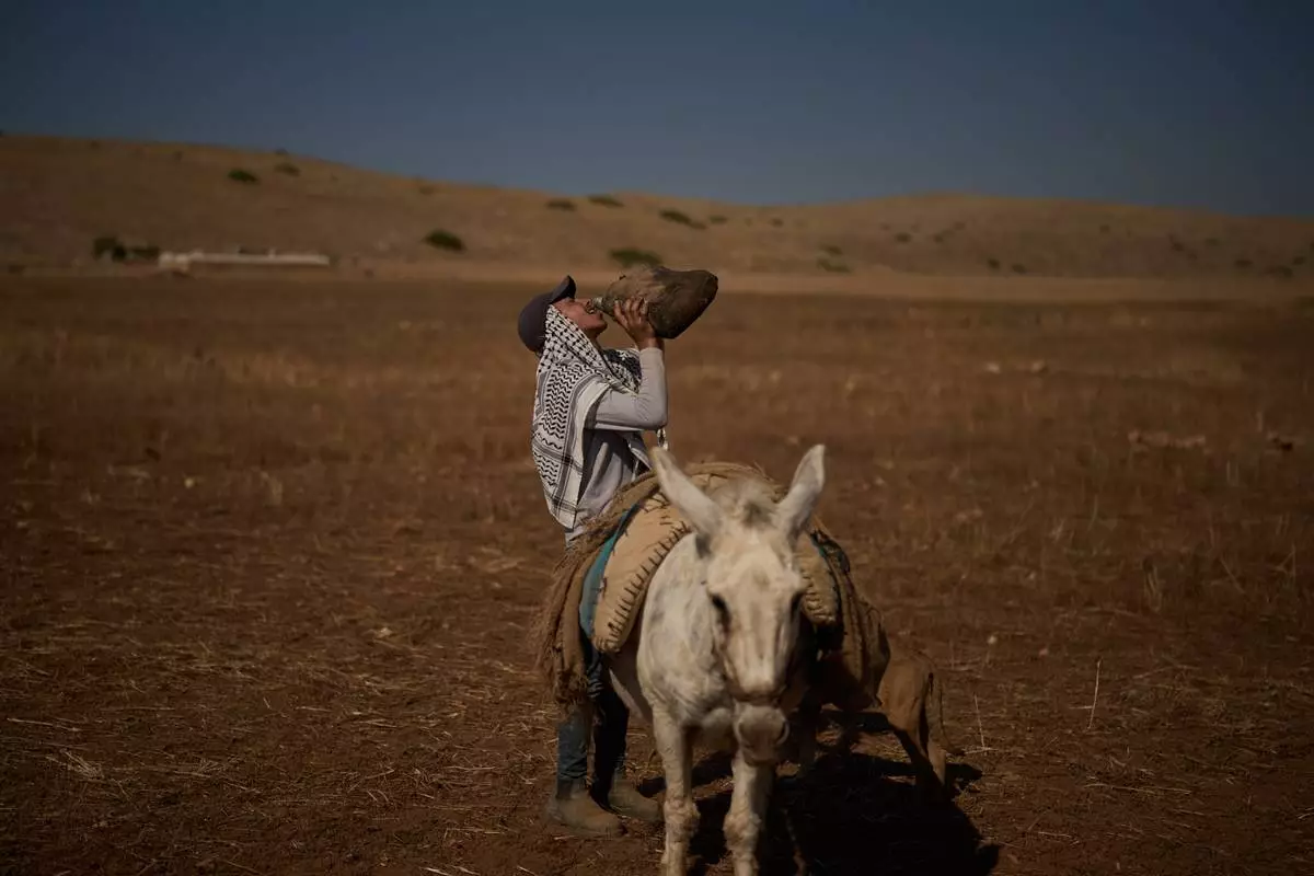 Ahmad, 15, drinks water after being stopped by Israeli soldiers while grazing his flock near his community in the northern Jordan Valley in the occupied West Bank, Wednesday, June 24, 2026. (AP Photo/Leo Correa)