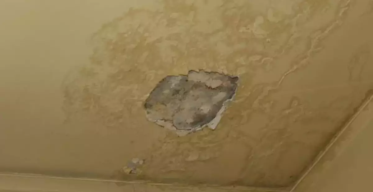 New Water Seepage Investigation Procedures Launched for Private Buildings, Effective from July 16