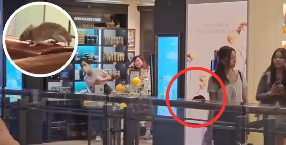 FEHD Acts on Rodent Sightings at Mong Kok's Langham Place, Urging Improved Cleaning and Anti-Rodent Measures