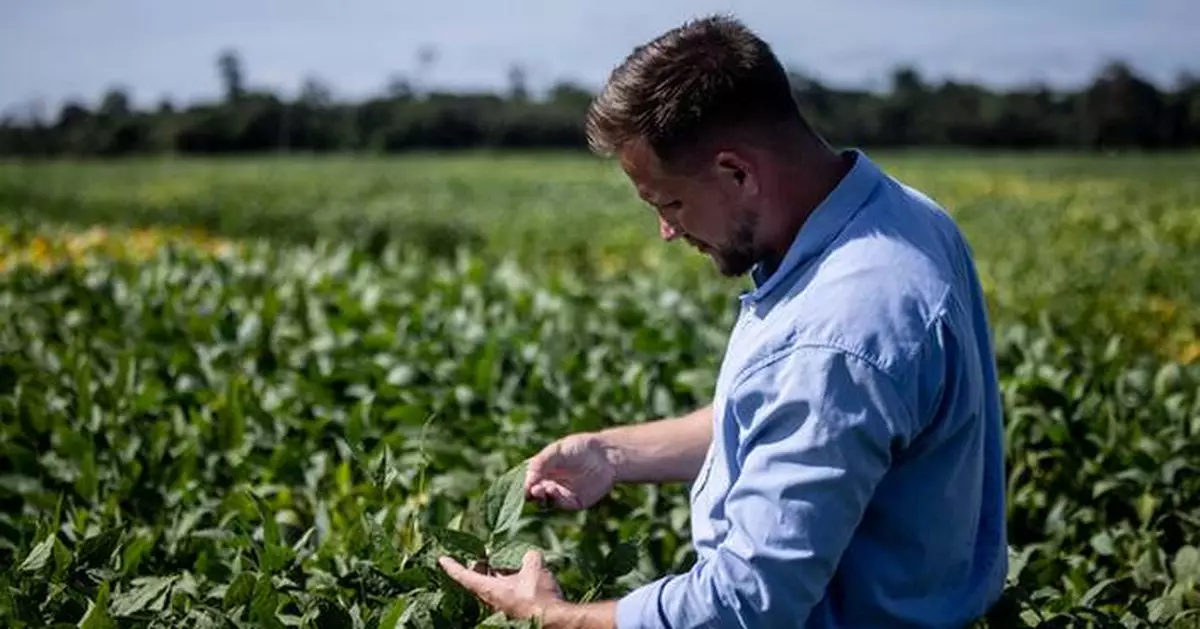 BASF Agricultural Solutions starts global registration of novel PPO herbicide Replexor™ Active