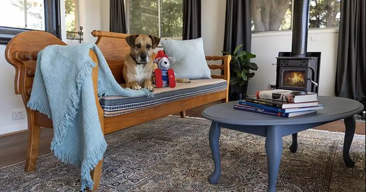 The costly winter pet mistakes Australians are making