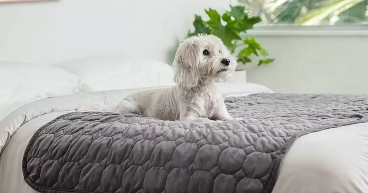 Yagi &amp; Co., Ltd.: FUJILOOM blankets, mats that are made with “LAVATECH” containing Lava from Mt. Fuji to be Exhibited at SUPERZOO 2026