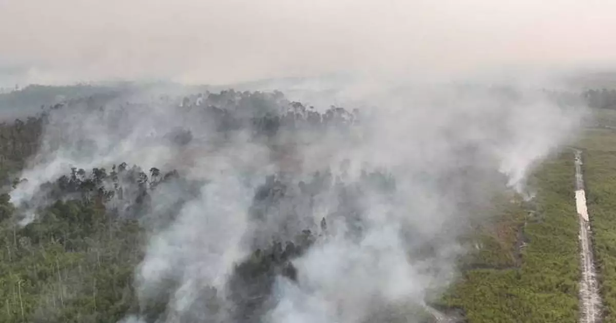 Indonesian police arrest 72 people suspected of starting forest fires