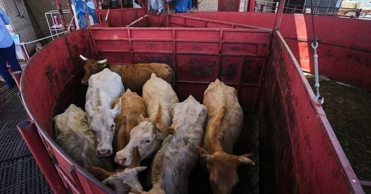 Economists don't expect reopening the US to Mexican cattle imports to reduce high beef prices