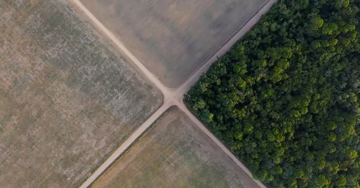 Brazil Supreme Court upholds laws that led to downfall of Amazon soy moratorium