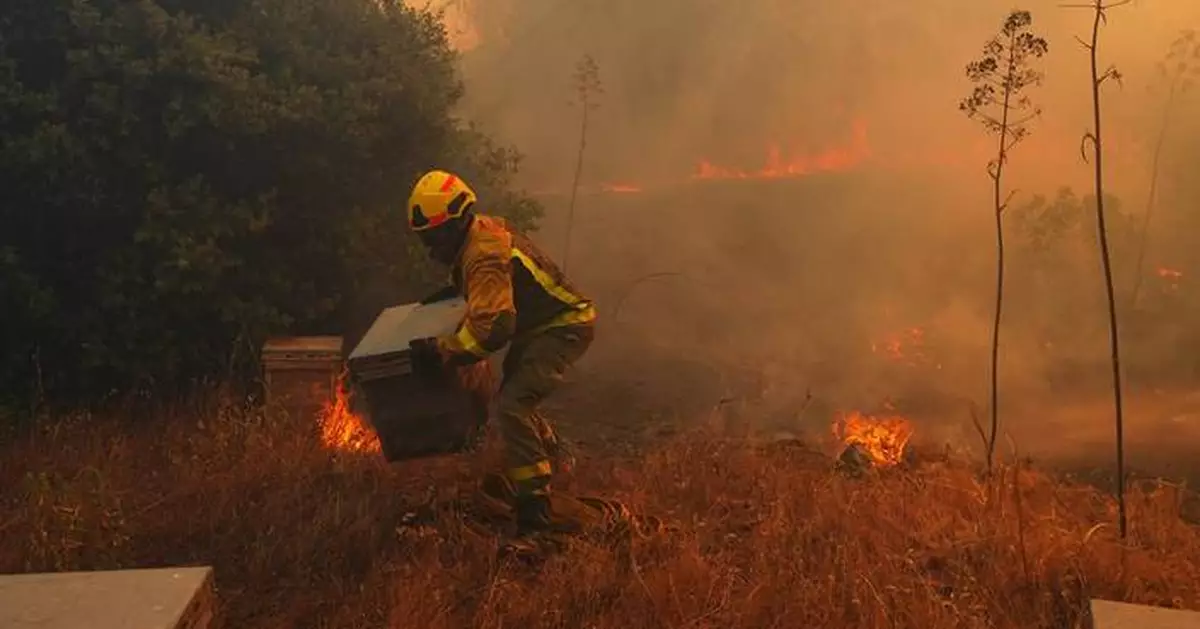 UN, scientists warn that strong El Nino will add fuel to 'a planet already on fire'