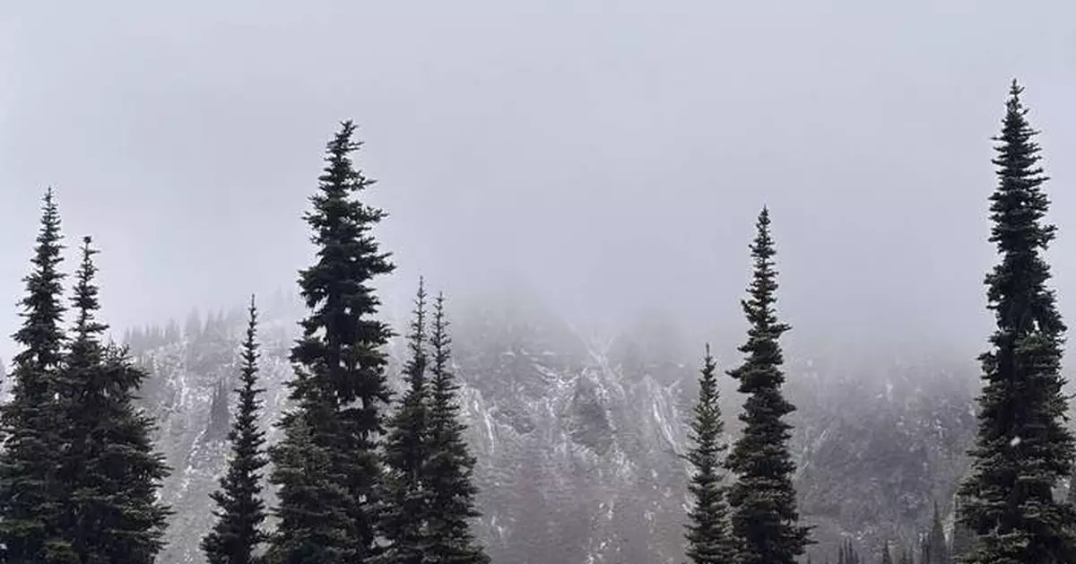 Snow Alert: It’s Snowing in Ikon Pass Country