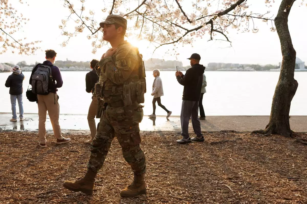 FILE - A member of the Mississippi National Guard walks among the cherry blossom trees along the tidal basin on the National Mall on Thursday, March 26, 2026, in Washington. (AP Photo/Tom Brenner, File)