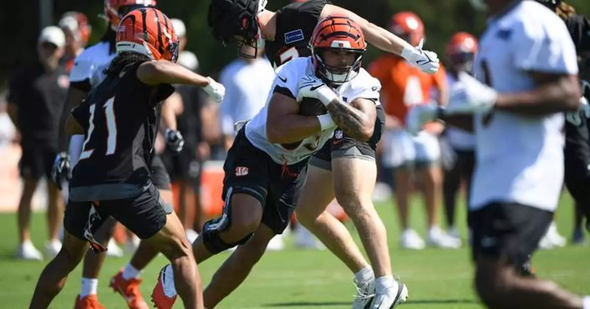 Erick All Jr. is back from a knee injury and shining in Bengals training camp