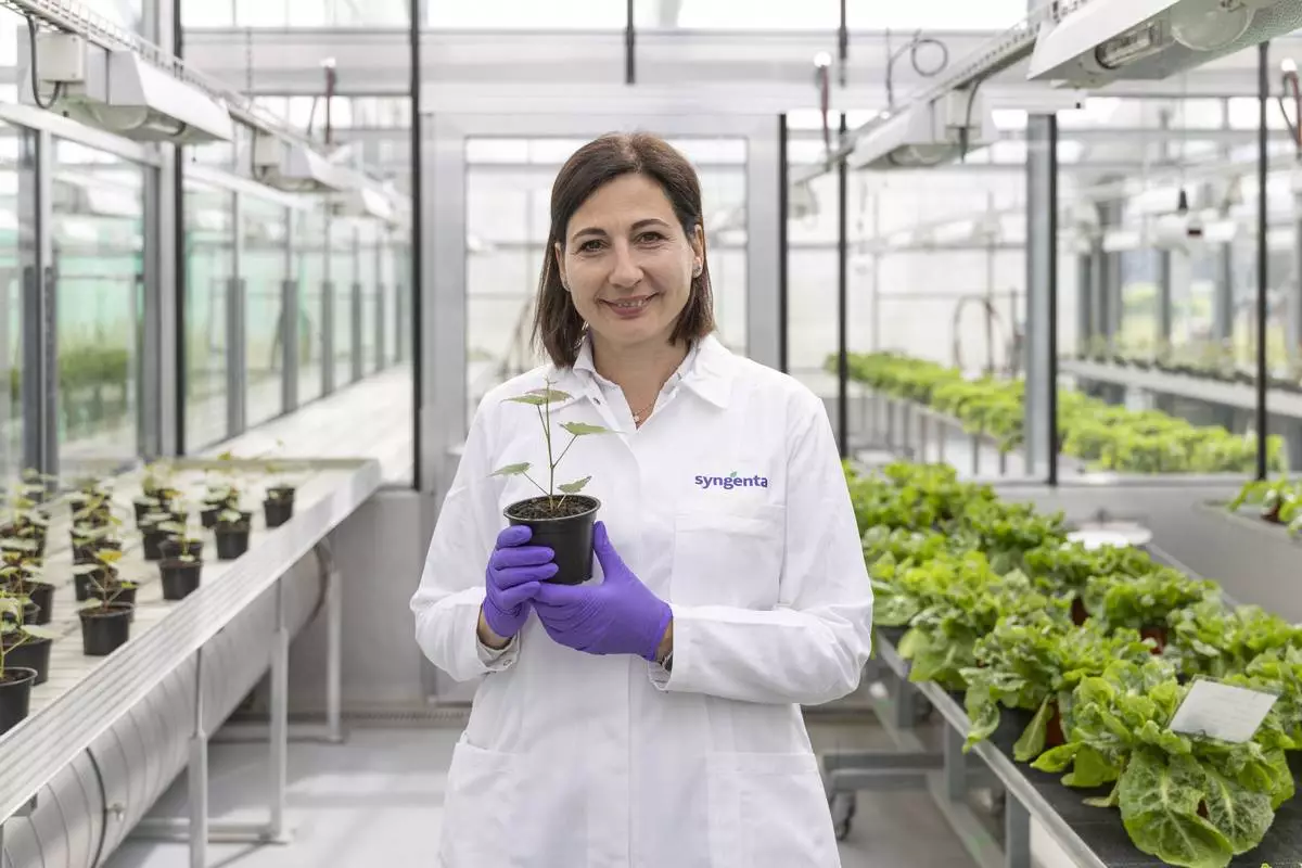 Camilla Corsi, Syngenta Head of CP Research & Development
