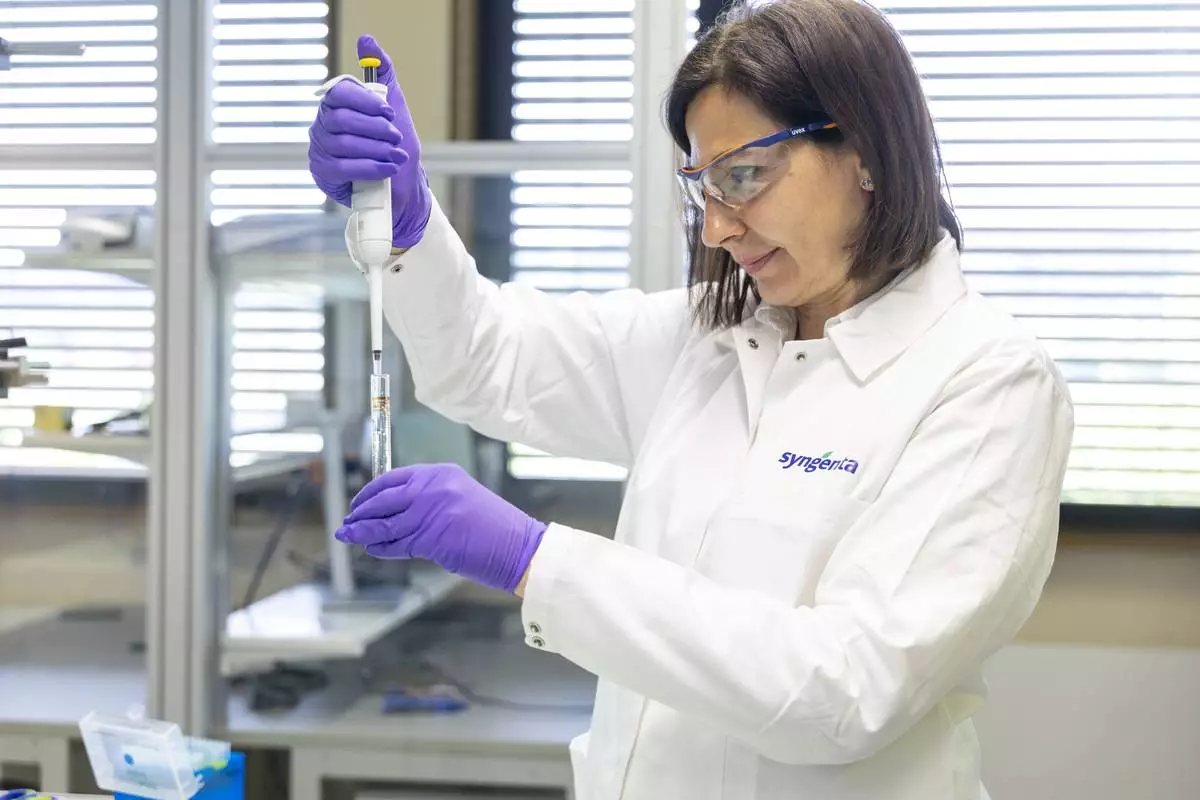 Camilla Corsi, Syngenta Head of CP Research & Development