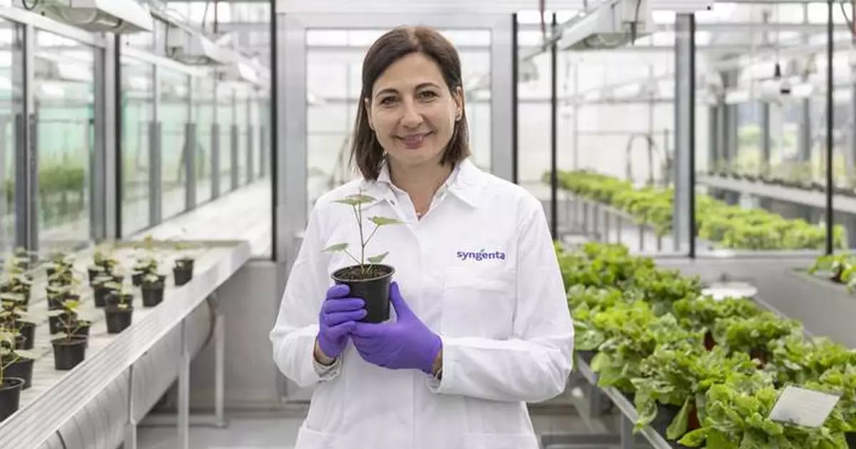 American Chemical Society Names Syngenta's Camilla Corsi the 2026 Winner of Prestigious International Award for Research in Agrochemicals