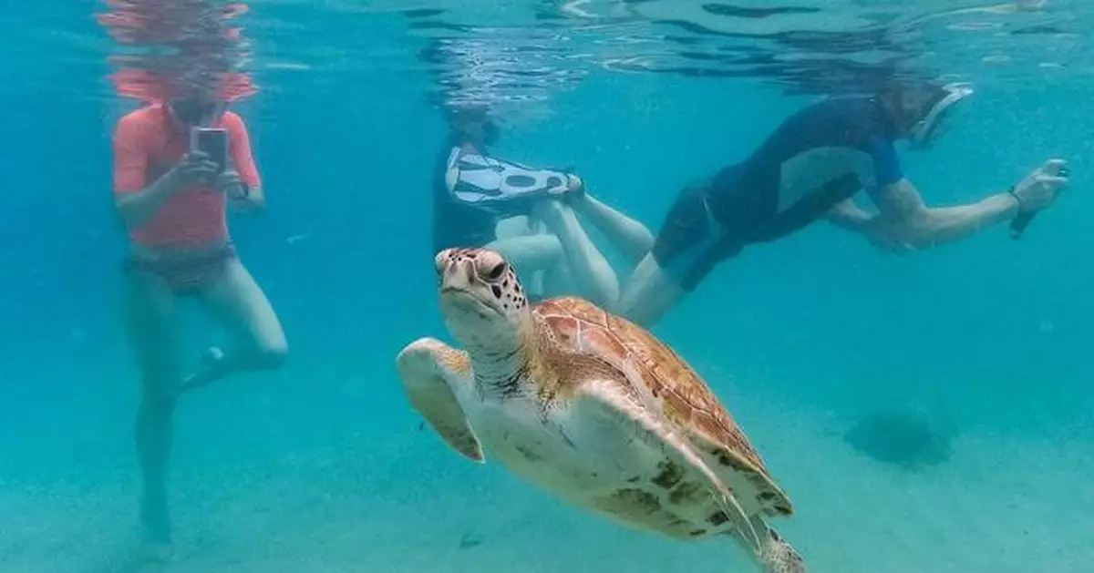Earth is simmering in its hottest water temps on record, and that's bad for fish and us