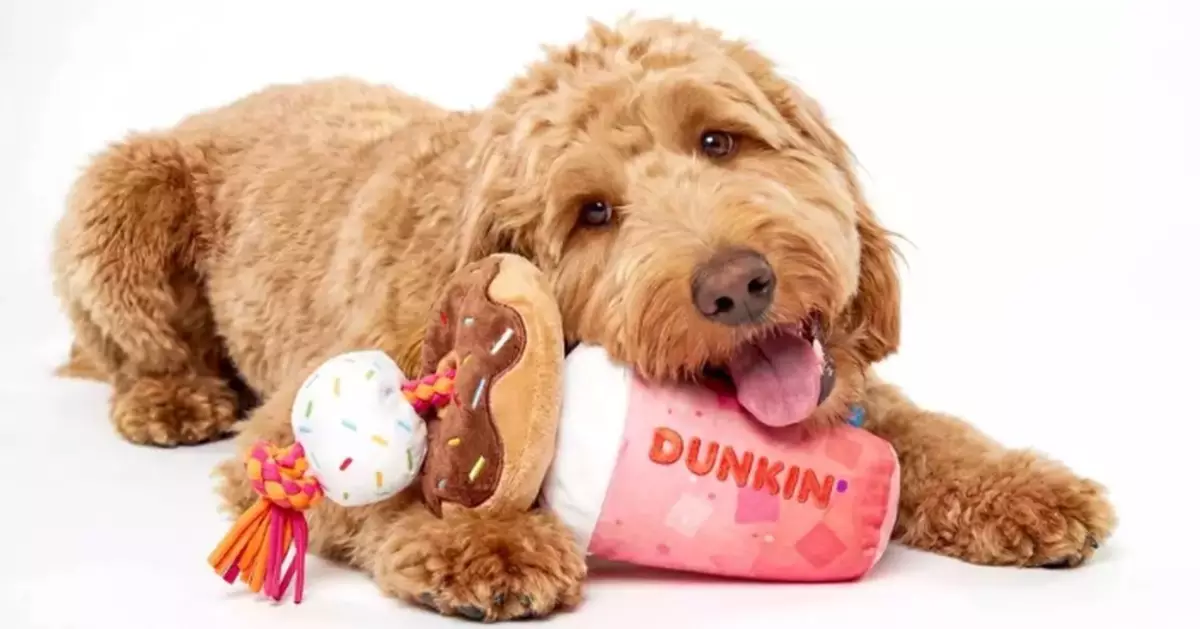 BARK® and Dunkin'® Launch Dunkin's First Official Dog Drive-Thru Experience and New Dog Toy Collection