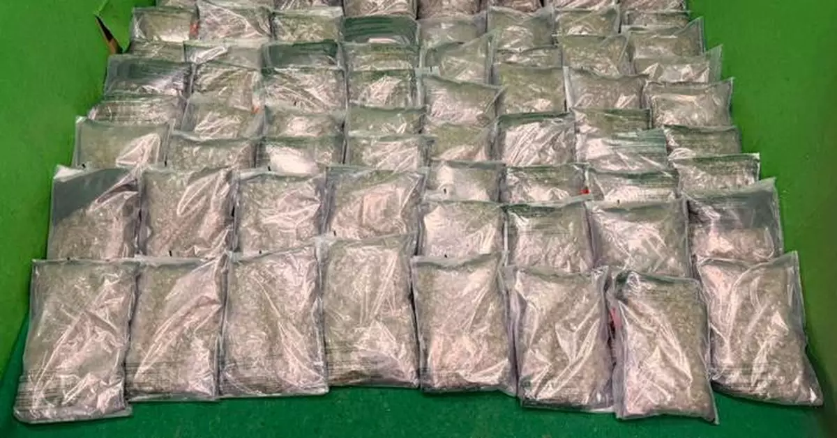 Hong Kong Customs Seizes 33 Kilograms of Cannabis, Arrests American Passenger at Airport