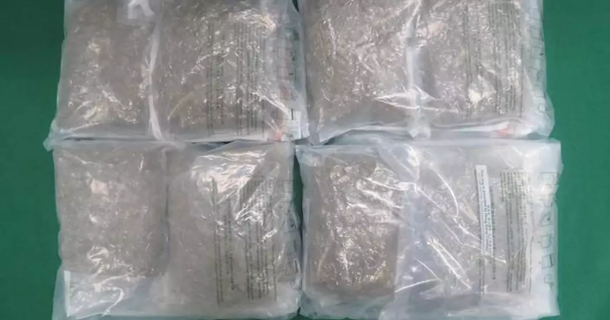 Hong Kong Customs Seize $1 Million Cannabis, Arrest 29-Year-Old Man in Tin Shui Wai Operation