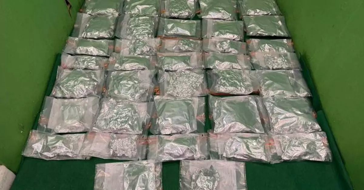 Hong Kong Customs Seizes About 24kg of Suspected Cannabis Buds at Airport, Arrests Two Male Passengers