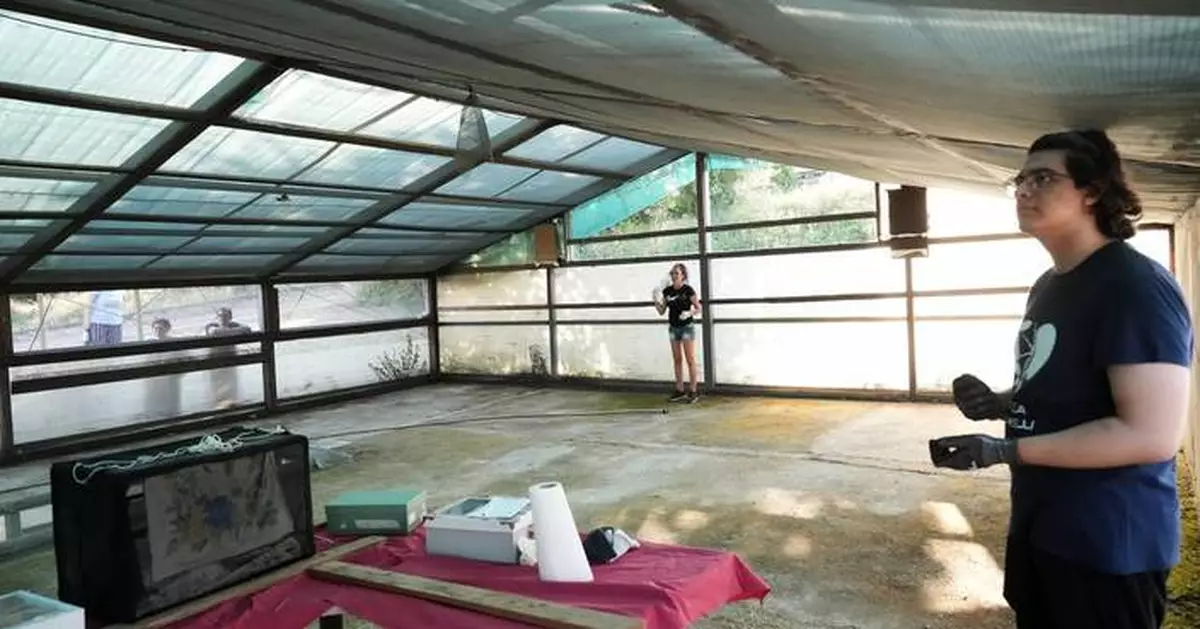 Volunteers work to protect displaced bats at an Italian Bat Conservation, in photos