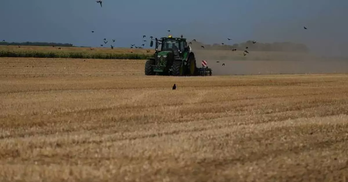 A punishing European drought shrivels crops from Dutch potatoes to Bosnian corn