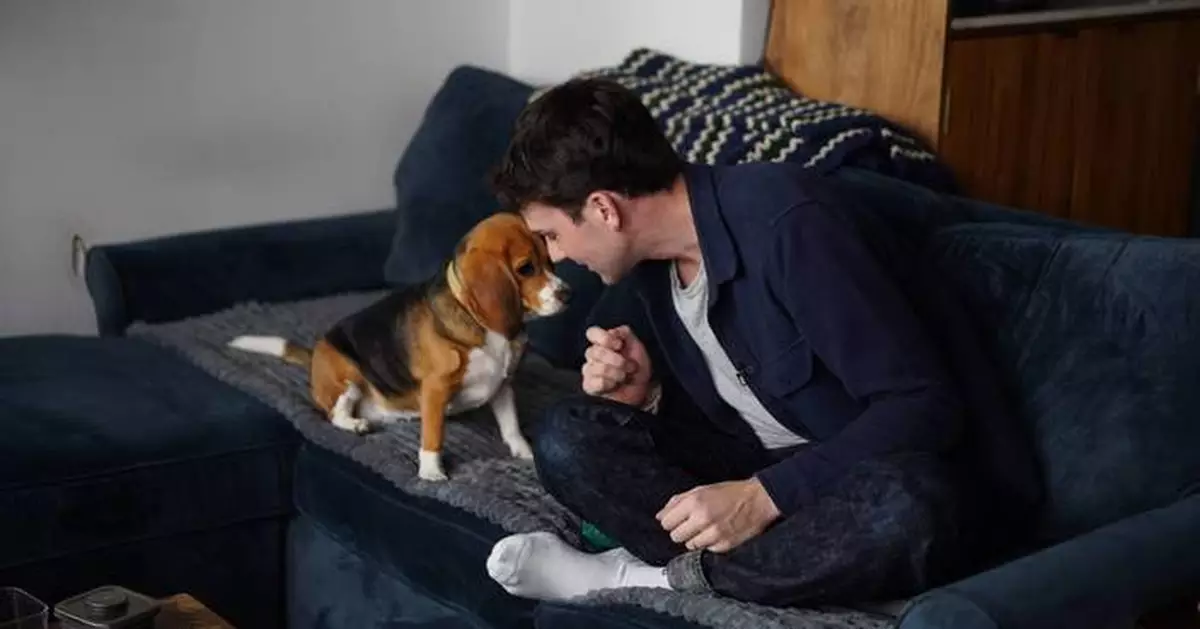 Gene-edited beagles may offer a future option for people with dog allergies