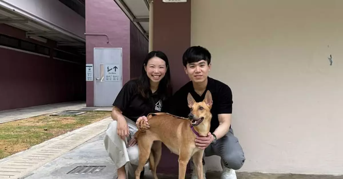 V Aesthetics Holdings Commits S$400,000 to Support Dogs in SOSD’s Care