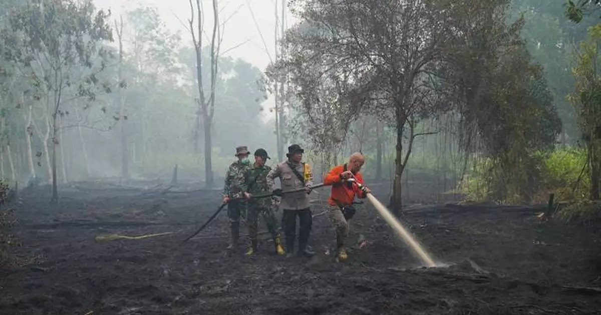 This year's El Nino-driven heat could cause nearly half a million more deaths, group says