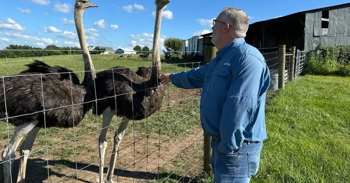 A Kentucky man with a meat allergy was craving a burger. So he got into ostrich farming