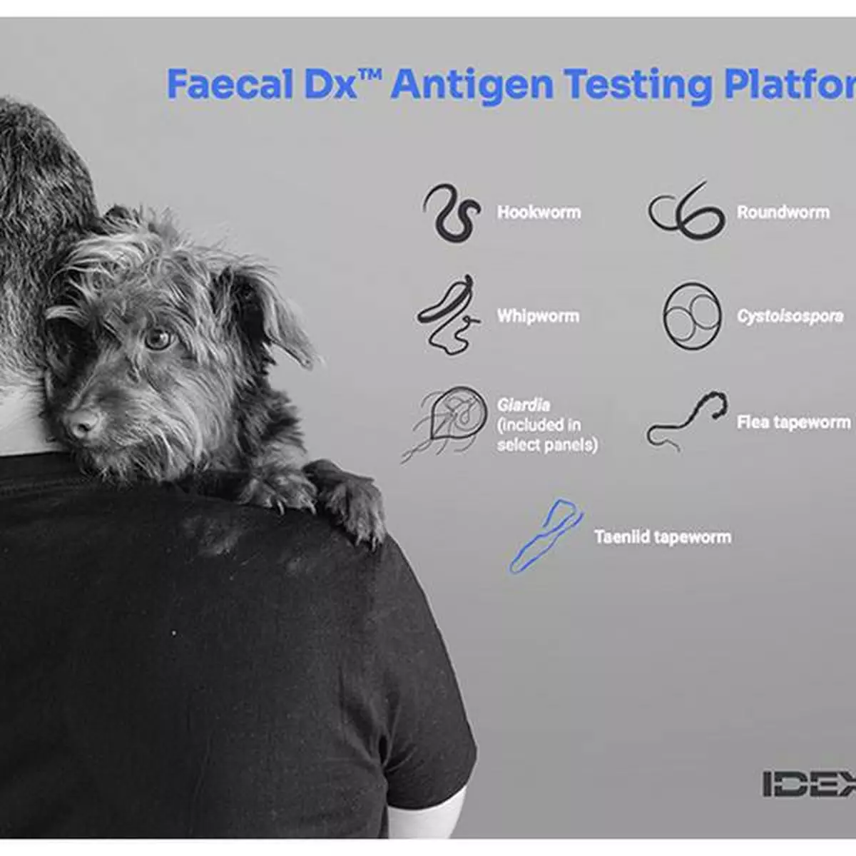 IDEXX Expands Faecal Dx Antigen Testing Platform in the United Kingdom with Taeniid Tapeworm Detection