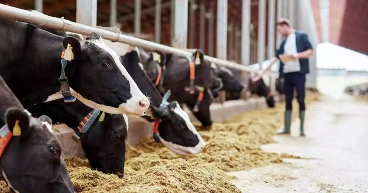 IFF Launches Omni-Bos™ PHY to Help Dairy Producers Get More Value from Feed
