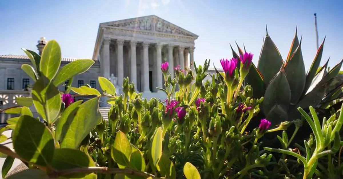 Supreme Court lets Trump administration use revamped federal voter eligibility database for now