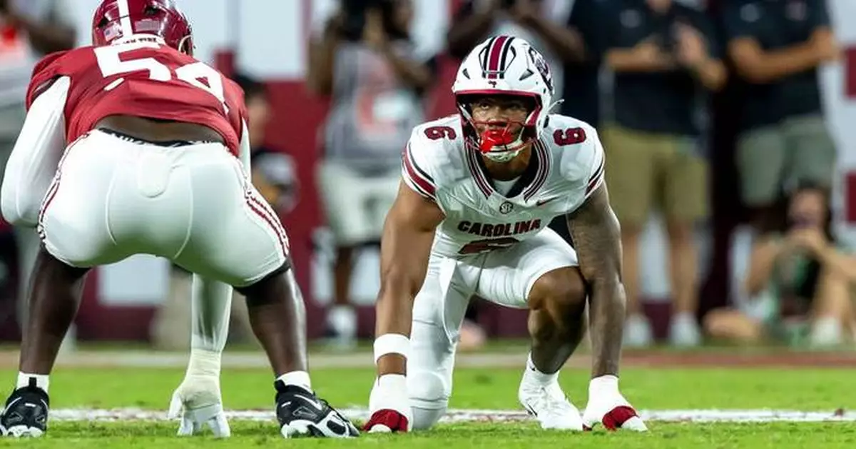 South Carolina's Dylan Stewart suspended indefinitely after throwing punch at Alabama player