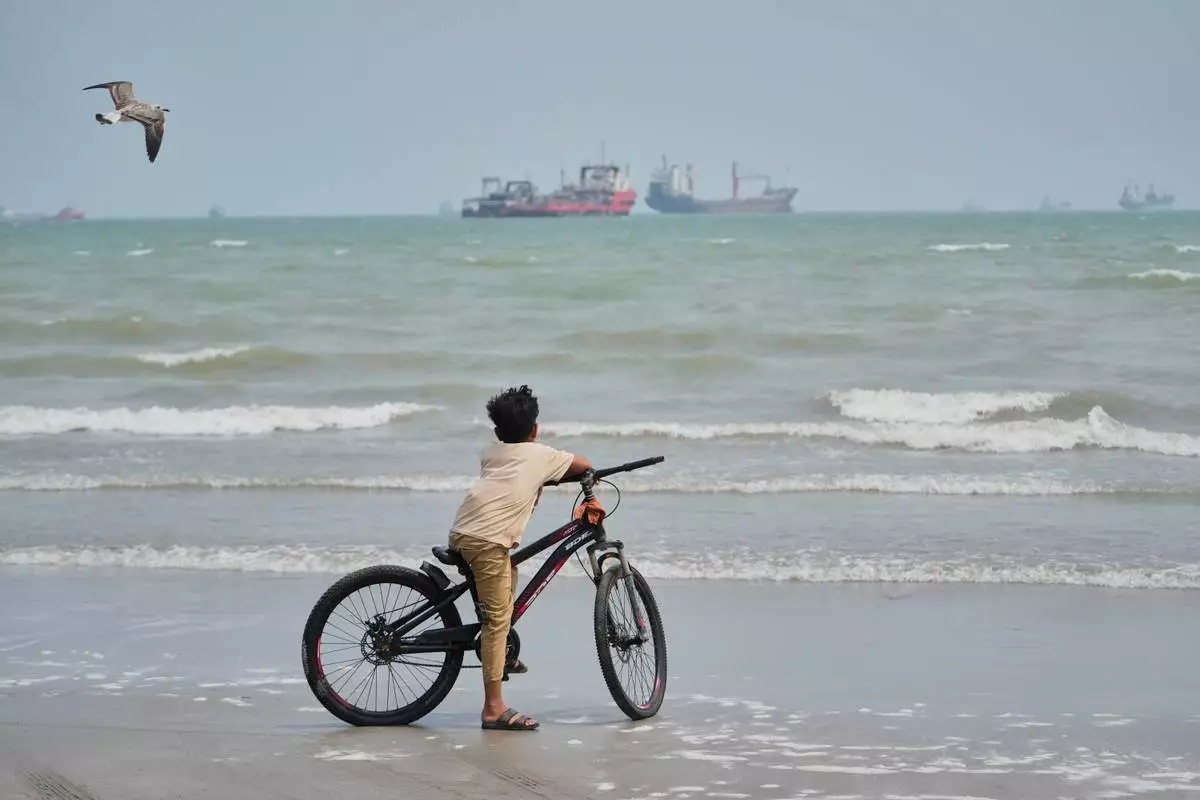 A gull flies overhead as a boy stands with his bicycle on a beach overlooking commercial vessels anchored in the Strait of Hormuz off Bandar Abbas, Iran, Monday, Sept. 7, 2026. (AP Photo/Vahid Salemi)