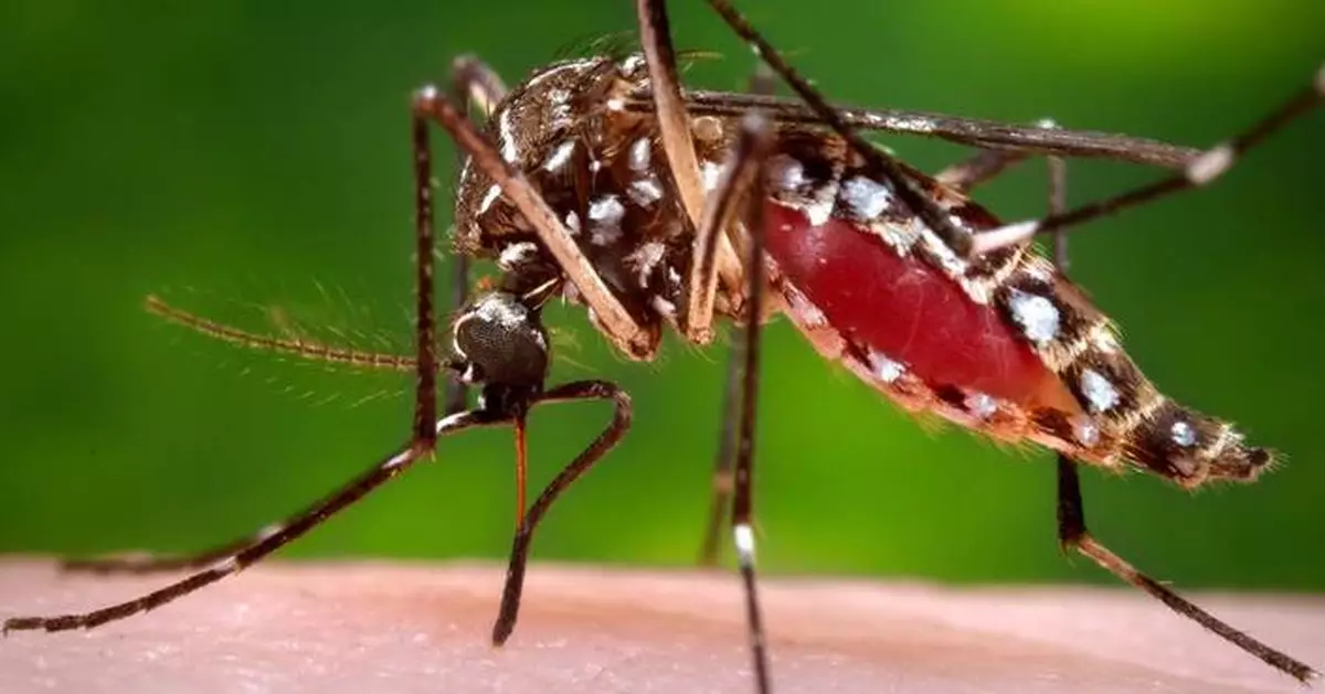Florida confirms a death from dengue as the state struggles with one of its worst recent outbreaks