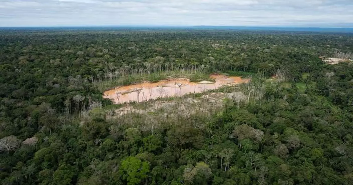 Peru faces human rights court over protections for isolated Indigenous peoples in Amazon