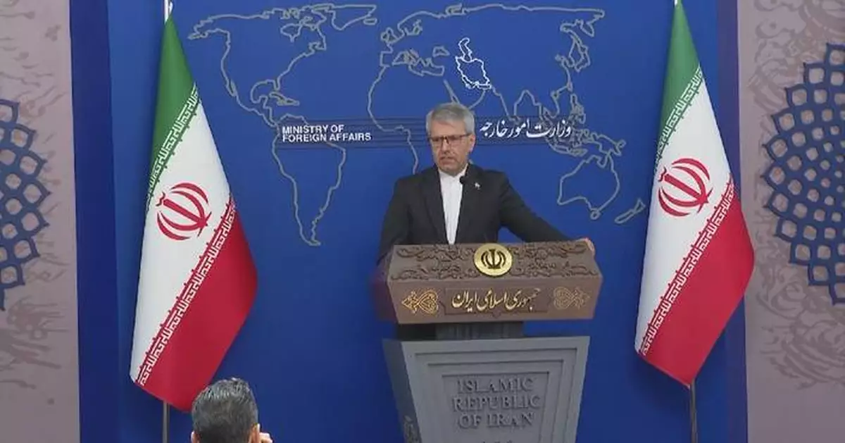 Iran will spare no effort to safeguard its national interests: FM spokesman
