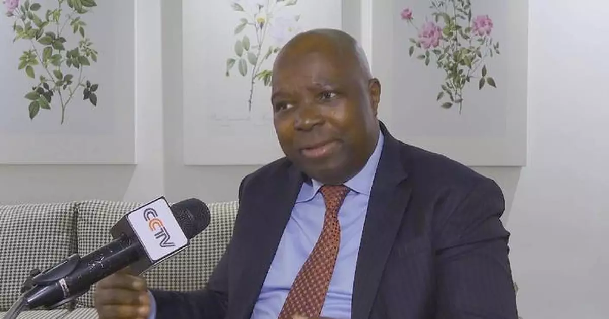 BRICS cooperation helping advance sustainable development on African continent: lawmaker