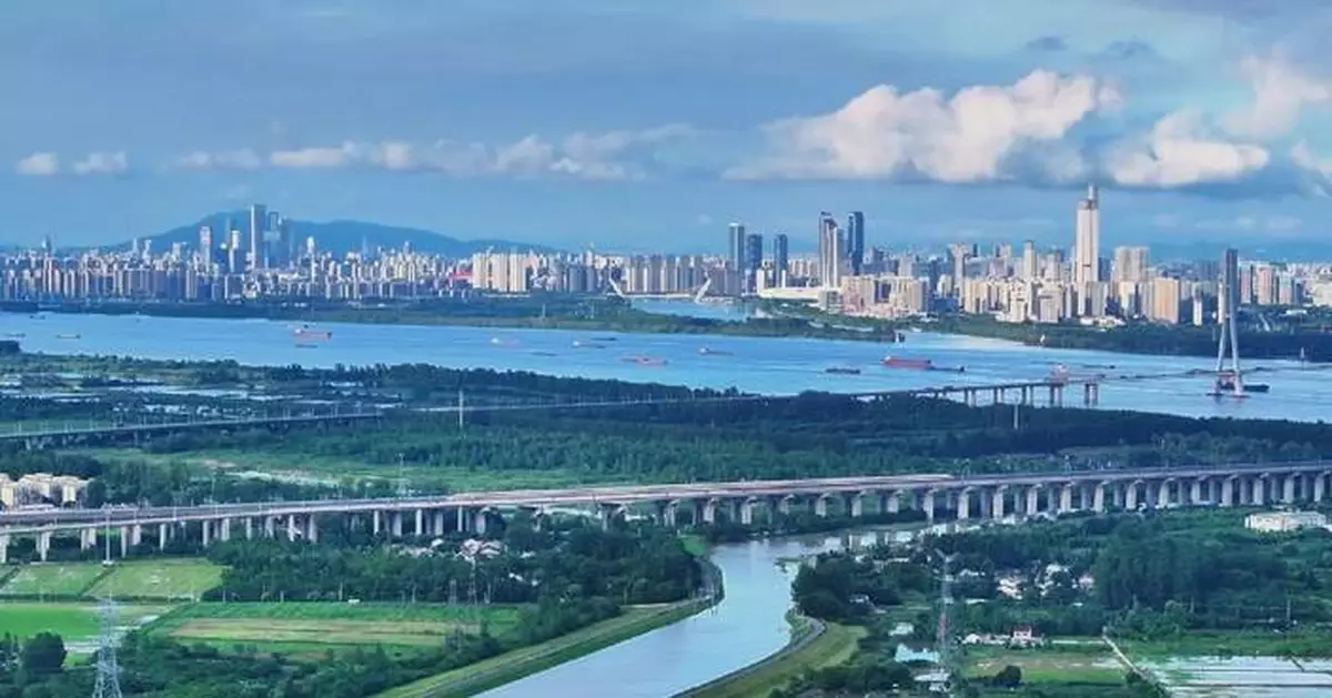 Chinese premier chairs State Council executive meeting on macro policies, investment