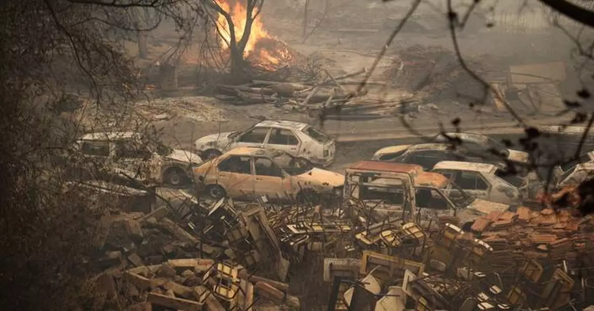 Algerians battle deadly wildfires as Tebboune seeks death penalty for arson