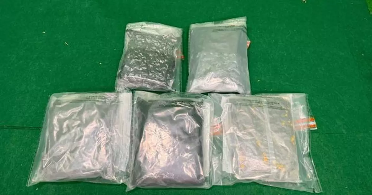 Hong Kong Customs Seizes 3kg of Cannabis at Airport, Arrests Male Passenger from Mainland.