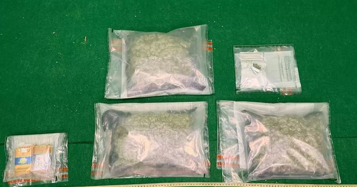 Hong Kong Customs Seizes 2kg of Cannabis and Arrests Passenger at Airport