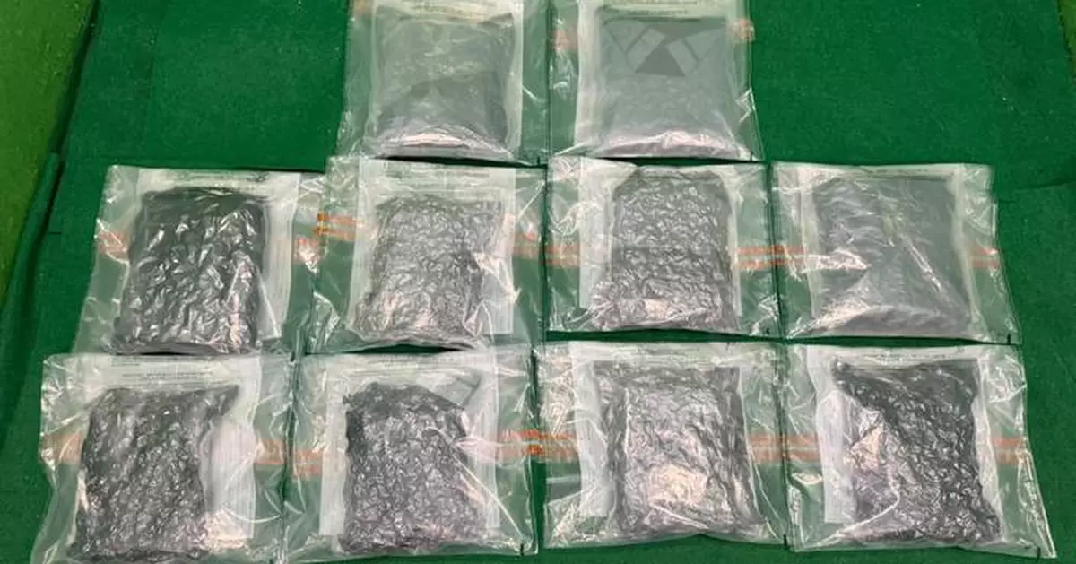 Hong Kong Customs Seizes 6kg of Cannabis Buds at Airport, Arrests Mainland Passenger