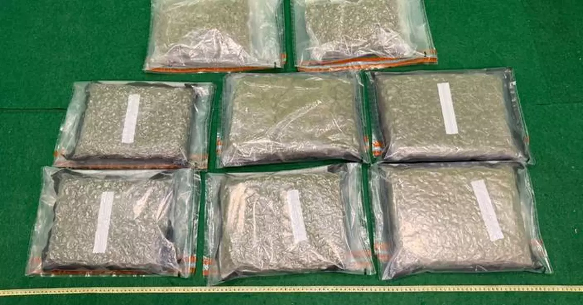 Hong Kong Customs Seizes 9kg of Cannabis in Two Drug Trafficking Cases at Airport