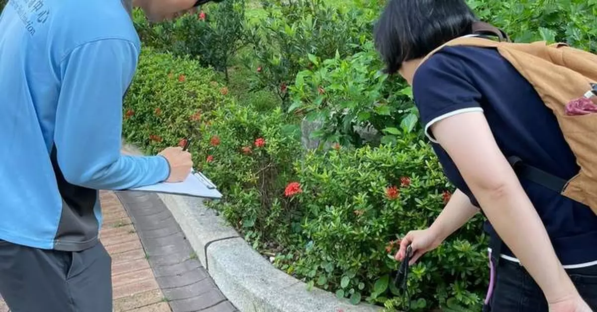 Hong Kong Reports Local Chikungunya Fever Case; Public Urged to Take Mosquito Precautions