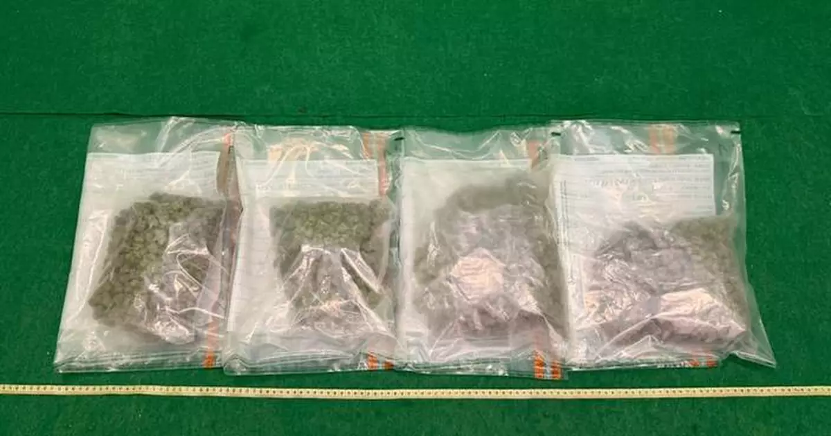 Hong Kong Customs Seizes 7kg of Cannabis Buds, Arrests Three in Drug Trafficking Bust at Airport
