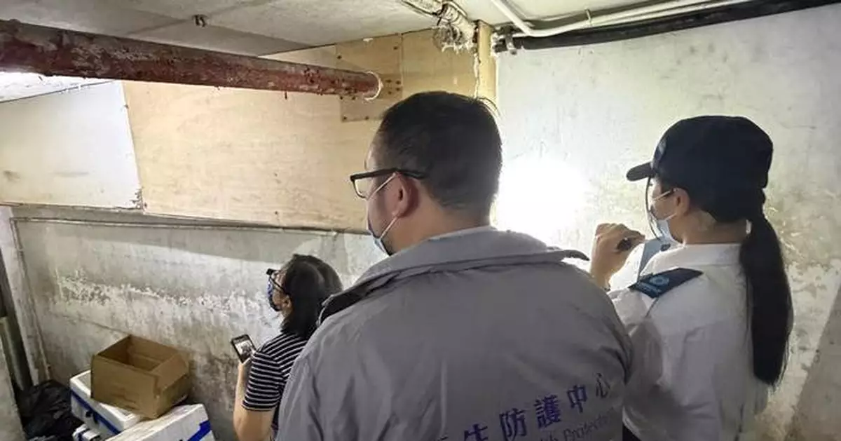 CHP Investigates Human Hepatitis E Case Linked to Rats, Urges Hygiene Measures