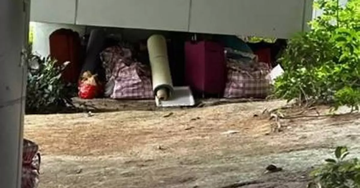 FEHD Intensifies Enforcement Against Illegal Hawking at Foreign Domestic Helpers' Gathering Spots