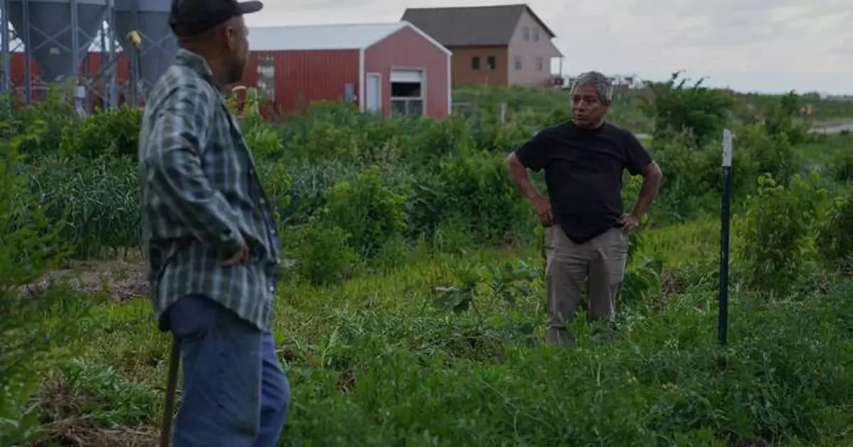 For these Midwest farmers, regenerative agriculture is about more than soil health. It's spiritual