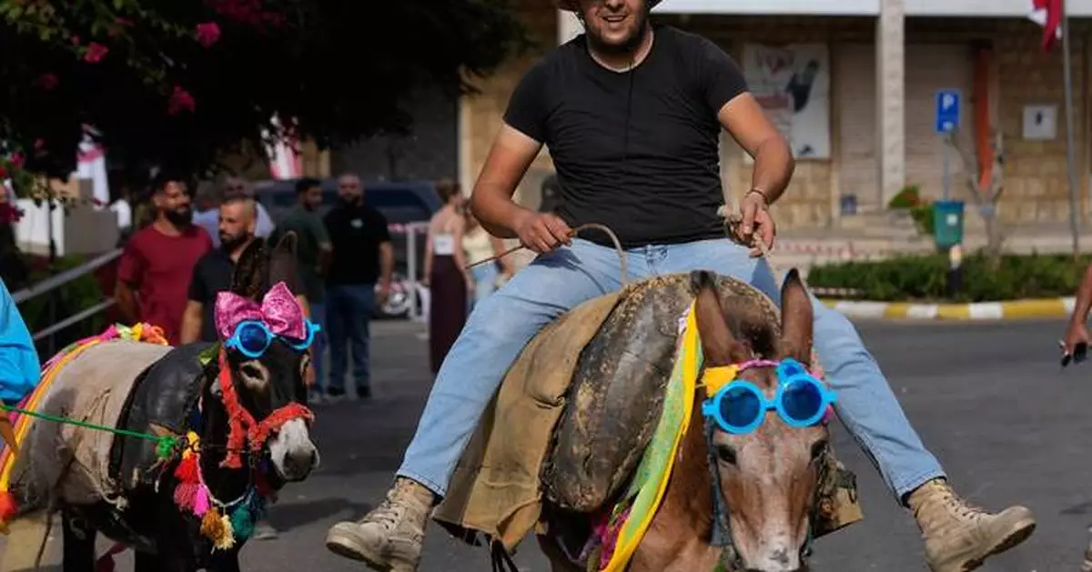 Donkeys don bows and sunglasses for a summer race in southern Lebanon, in photos